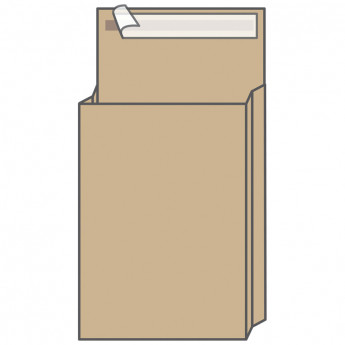 Пакет почтовый, UltraPac, 320*430*80мм, двойной крафт, отр. лента, 2*80 г/м2