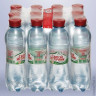 Вода газированная питьевая 'Святой источник', 0,33 л, пластиковая бутылка, 12 шт/в уп