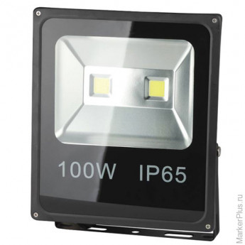 Прожектор светодиодный "ЭРА", 100 Вт, 6500 К, 35000 ч., класс защиты IP65, LPR-100-6500К-М