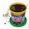 Набор для выращивания растений ВЫРАСТИ ДЕРЕВО! 'Лаванда' (банка, грунт, семена), zk-030