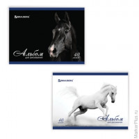 Альбом для рисования, 40 л., BRAUBERG, обложка мелованный картон, 100 г/м2, 'Благородные кони', 2 вида, 103728, Ассорти, ассорти