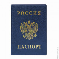 Обложка 'Паспорт России', вертикальная, ПВХ, цвет синий, 'ДПС', 2203.В-101