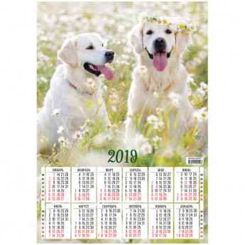 Календарь настенный листовой А3, OfficeSpace "Милые собачки", 2019г.