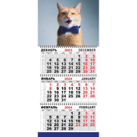 Календарь настенный 3-х блочный Трио Стандарт,2024,295х710,Рыжий джентльмен
