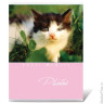 Фотоальбом BRAUBERG на 36 фото 10х15 см, мягкая обложка, котята/щенки, ассорти, 390650