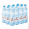 Вода негазированная минеральная 'ЧЕРНОГОЛОВСКАЯ', 0,5 л, пластиковая бутылка, 6 шт/в уп