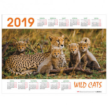 Календарь А2 2019г HATBER, 45х60см, горизонтальный, Wild Cats, Кл2_18773(K288344)