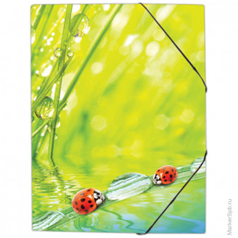 Папка на резинке "Ladybird " А4, 550мкм