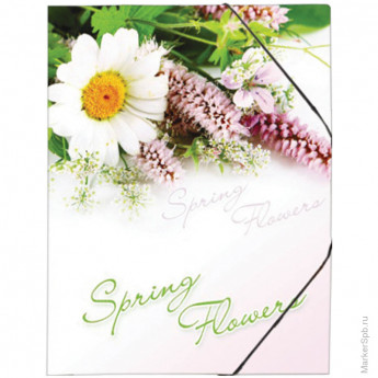 Папка на резинке 'Spring Flowers' А4, 550мкм