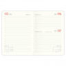 Ежедневник датированный 2024, Infolio, 140х200 мм, 352 с. Diana I1334/olive