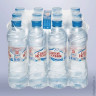 Вода негазированная питьевая 'Святой источник', 0,5 л, пластиковая бутылка, 12 шт/в уп