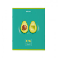 Тетрадь предметная 'AVOCADO' 48 л., глянцевый лак, ГЕОМЕТРИЯ, клетка, BRAUBERG, 404278
