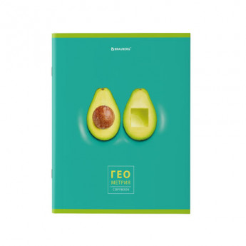 Тетрадь предметная 'AVOCADO' 48 л., глянцевый лак, ГЕОМЕТРИЯ, клетка, BRAUBERG, 404278