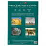 Бумага для гуаши и акрила А4 10л, 235 г/м2, 210х297мм, в папке, BRAUBERG ART CLASSIC, "Кот-музыкант", 117731 Бумага для гуаши и акрила А4 10л, 235 г/м2, 210х297мм, в папке, BRAUBERG ART CLASSIC, "Кот-музыкант", 117731