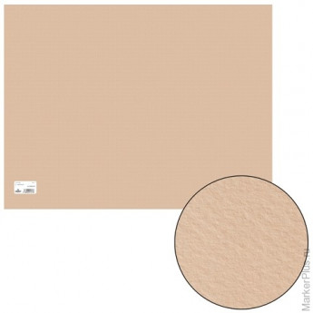 Бумага для пастели CANSON "Mi-Teintes" ("Митант"),А2+, 500х650 мм, 160 г/м, 2-стор., золот.-розовая, 125713