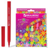 Фломастеры BRAUBERG "Blooming flowers", 12 цветов, вентилируемый колпачок, картонная упаковка с радужной фольгой, 150560