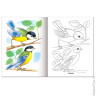Книжка-раскраска А5, 8 л., HATBER, Первые уроки, "Птицы", 8Рц5 03068, R002354