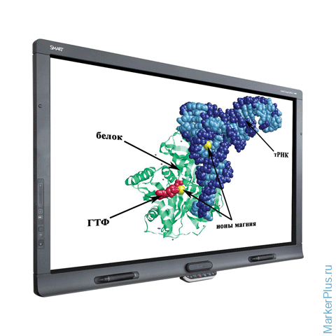 Мультимедийные выставки дарвиновский музей. Интерактивные активации. Интерактивная система smartboard 680n. Интерактивная панель в библиотеке. Современные сенсорные экраны.