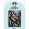 Картина по номерам на холсте ТРИ СОВЫ 'Абстракция', 30*40см, с акриловыми красками и кистями