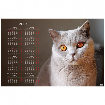 Календарь настенный листовой А1, OfficeSpace "Красивый кот", 2019г.