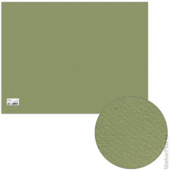 Бумага для пастели CANSON "Mi-Teintes" ("Митант"), А2+, 500х650 мм, 160 г/м, 2-стор., светло-зеленая, 125720