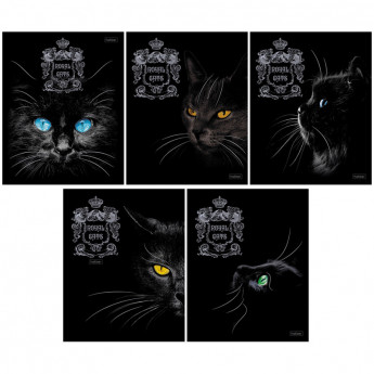 Тетрадь 48л., А5, клетка Hatber "Royal Cats", матовая ламинация, 3D фольга, 3D лак 5 шт/в уп