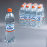 Вода газированная минеральная ЭДЕЛЬВЕЙС, 0,5 л, пластиковая бутылка 12 шт/в уп