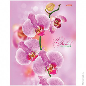 Тетрадь на кольцах А5 120л. "Розовая орхидея"