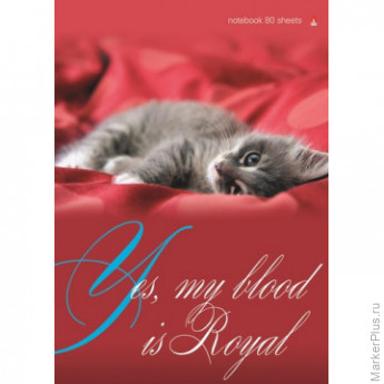 Блокнот А6 80л на гребне в ассорти 3-80-032 Д