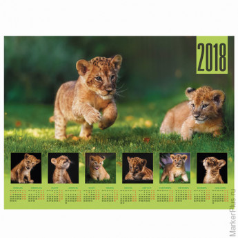 Календарь А2 на 2018 г., HATBER, 45х60 см, горизонтальный, "Львенок", Кл2 16841, K251126