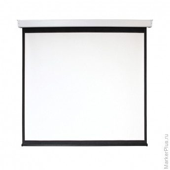 Экран настенный моторизированный Digis DSEF-16906, 16:9, 135 (308x178