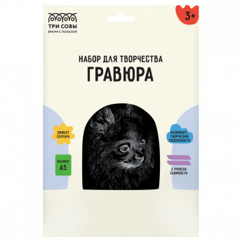 Гравюра с эффектом серебра ТРИ СОВЫ 'Шпиц', А5