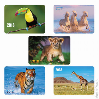 Календарь карманный на 2018 г., HATBER, 7х10 см, лакированный, "Животные", Кк7, K250297