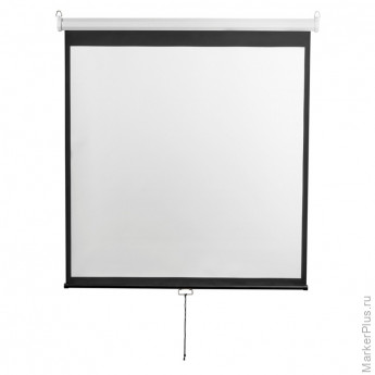 Экран настенный Digis DSOD-4302, 4:3, 86 (178x139)