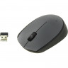 Мышь компьютерная Logitech беспроводная M170, Gray [910-004646 Мышь компьютерная Logitech беспроводная M170, Gray [910-004646