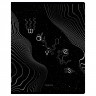 Тетрадь 80л., А5, клетка BG 'Motion Graphics', эконом