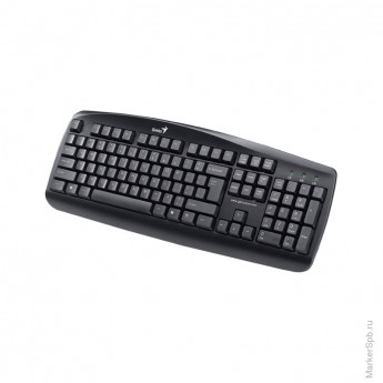 Клавиатура Genius KB-110 USB черный
