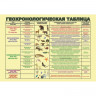 Плакат - таблица Геохронологическая таблица (1,2x1,68)