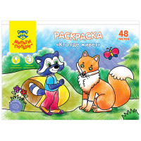 Раскраска А5, Мульти-Пульти 'Кто где живет', 48л., в папке