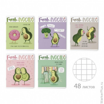 Тетрадь общая А5,48л,клетка,скреп,обл.карт. АВОКАДО 5диз 7-48-929