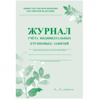 Журнал контроля и учета инд.занятий,А4, обл.офсет,блок писчая КЖ-400 2шт/уп, комплект 2 шт
