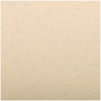Бумага для пастели 25л. 500*650мм Clairefontaine 'Ingres', 130г/м2, верже, хлопок, мраморный крем