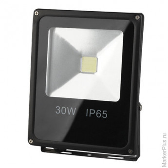 Прожектор светодиодный "ЭРА", 30 Вт, 6500 К, 35000 ч., класс защиты IP65, LPR-30-6500К-М