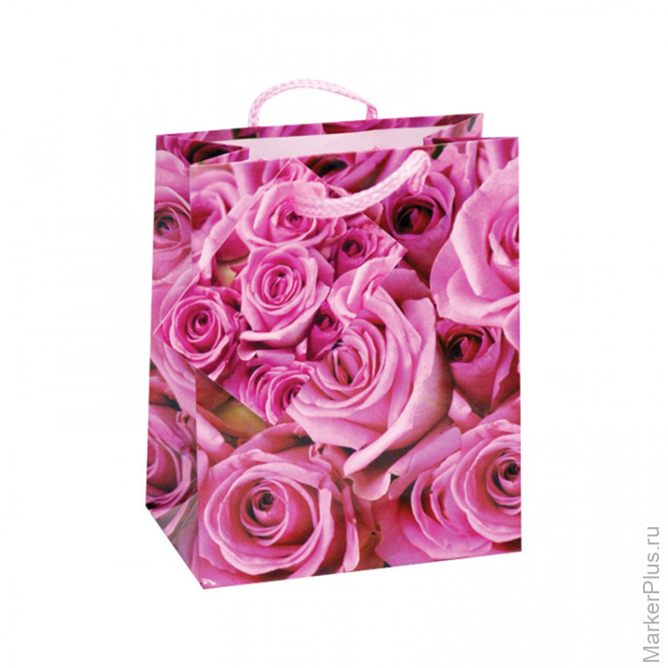 Пакет вещей. Вещи пакетом. Пакет с девушкой в шляпе. Девушка с пакетами. Пакет с женщиной в шляпе.