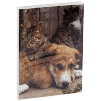 Фотоальбом 36 фото 10*15см, ArtSpace 'Friends', мягкая обложка, ПП карман
