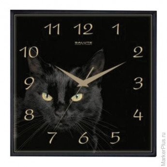 Часы настенные САЛЮТ П-2А6-412, квадрат, черные с рисунком "Черная кошка", черная рамка, 28х28х4 см