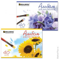 Альбом для рисования, 40 л., BRAUBERG, обложка мелованный картон, 'Цветы', 2 вида, 102851, Ассорти, ассорти