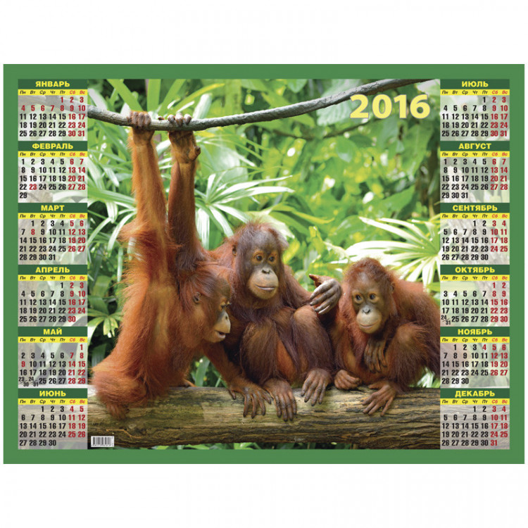 Год обезьяны календари. Календарь с обезьяной. Год обезьяны 2016. Календарь 2016 год обезьяны. Календарь с обезьянами 2016.