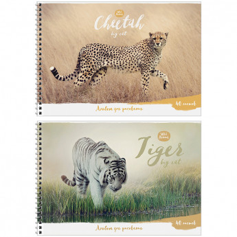 Альбом для рисования 40л., А4, на гребне ArtSpace 'Животные. Wild animal', Ассорти, ассорти, 5 шт/в уп