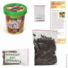 Набор для выращивания растений ВЫРАСТИ ДЕРЕВО! 'Кофе арабский карликовый' (банка, грунт, семена), zk-012
